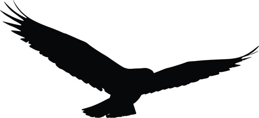 Silhouette of a bird in flight, wings wide open, isolated on white background, freedom, nature, wildlife, minimalistic avian art