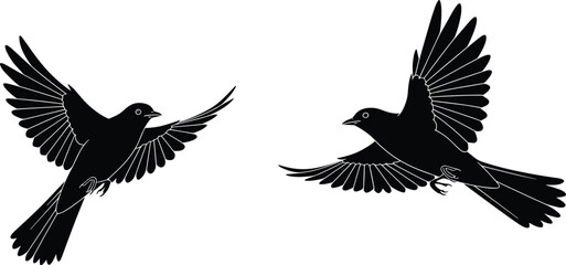 Silhouette of Two Birds in Flight, Black and White Vector Illustration, Wildlife Art, Nature Scene, Flying Birds Isolated Design