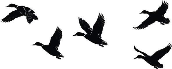 Silhouettes of ducks flying in formation, isolated on white background, wildlife birds in flight, nature migration, freedom, minimal design