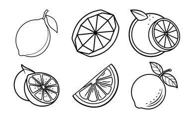 Vector art of citrus fruit collection