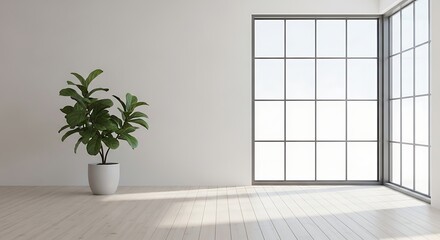 Fototapeta premium Minimalist interior scene with a potted plant and large window casting shadows