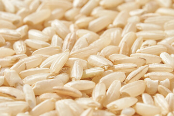 Close up of uncooked brown rice grains with detailed texture and natural color.