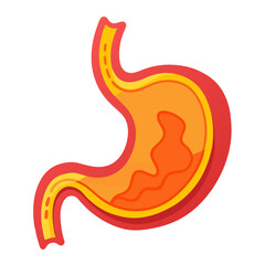 Animated human stomach illustration showcasing digestive system anatomy, perfect for medical education, health brochures, and scientific presentations, emphasizing internal organs