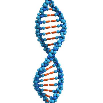 Abstract DNA Double Helix Molecule Illustration Science Medicine Biology and Chemistry Visual on transparent background