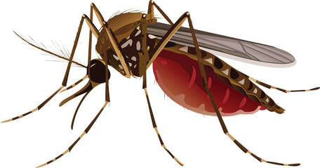  blood filled cartoon of a brown malaria eps vector on white background