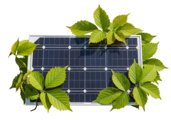 Solar Panel with Green Leaves