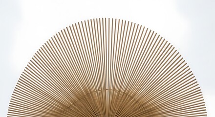 Symmetrical Wooden Slat Fan on White Background, Abstract Design Element