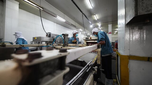 Factory Floor Efficiency: Workers in a clean manufacturing facility diligently operate machinery on a production line, showcasing the precision and dedication involved in industrial processes.