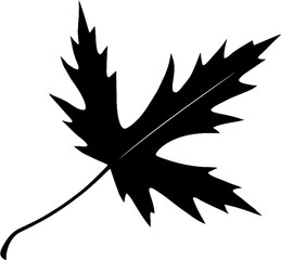silhouette of a leaf