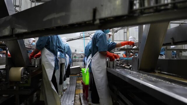 Workers in a food processing plant: A line of workers, wearing protective gear, meticulously work on an assembly line in a food processing factory.