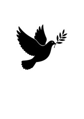 Obraz premium Dove with Olive Branch