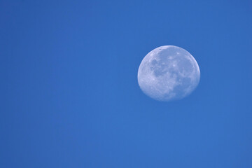 Nearly full moon showing craters in blue sky. 