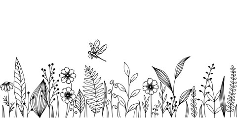 Vector herb and wildflower with dragonfly sketch