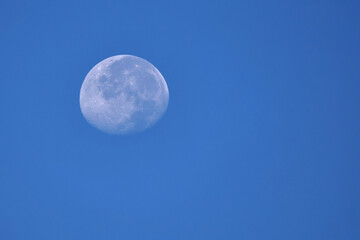 Nearly full moon showing craters in blue sky. 