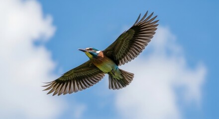 A vibrant kingfisher soars through a cerulean sky, its wings outstretched against a backdrop of fluffy white clouds.