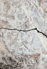 crack on the ground, abstract background