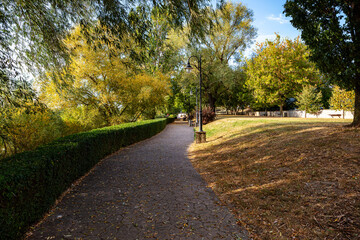 Autumn park pathway with hedge, trees and warm afternoon light
