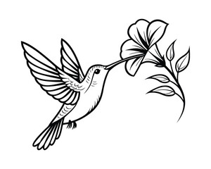 Beautiful Hummingbird Sitting on Flowers in Natural Scene