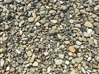 Obraz na płótnie Canvas Top view of sea ​​stones background, close up view