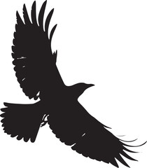 Obraz premium Silhouette of a bird of prey in flight with wings spread hawk