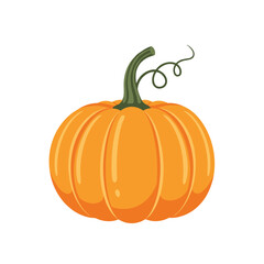 A whimsical orange pumpkin with a green stem and curling vine perfect for autumn harvest and halloween decorations