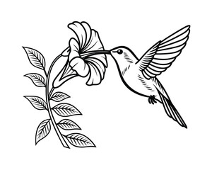 Beautiful Hummingbird Sitting on Flowers in Natural Scene