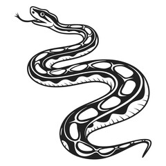 Obraz premium Stylized Monochrome Snake Illustration with Detailed Scale Pattern and Extended Tongue on a White Background Depicting Wildlife