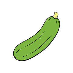 Zucchini Vector Art