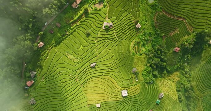 Aerial view of winding rice terraces stretch across the rolling hills, bordered by jungle and forest in Chiangmai. This stunning aerial scene showcases the balance of human care and natural splendor