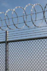 Barbed Wire Security high quality realistic image.