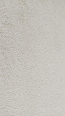 Textured surface reveals intricate details under soft light, highlighting its unique characteristics and subtle patterns