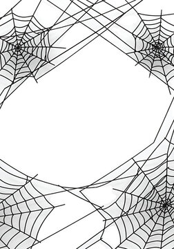 Image of spider web