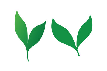 Obraz premium set of green leaves lily of the valley vector art illustration