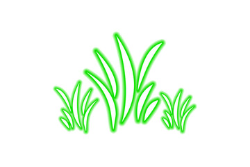 Green Neon Grass Glowing Nature Plant Design Isolated on transparent Background