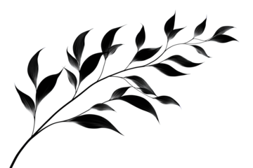 Minimal black plant silhouette, alternating leaves on gently bent stem with tapered edges, decorative botanical graphic, isolated on transparent background.