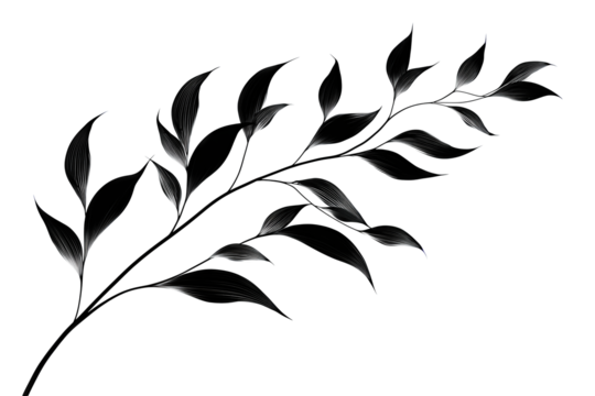 Minimal black plant silhouette, alternating leaves on gently bent stem with tapered edges, decorative botanical graphic, isolated on transparent background.
