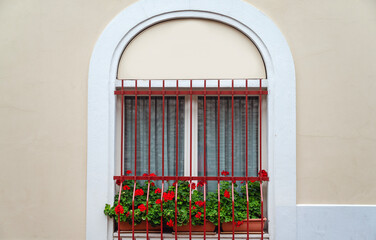 Windows with red geranium flowers in Italy 