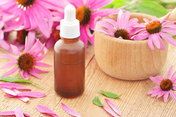 Echinacea flower essential oil or extract in glass amber bottle, naturopathy and natural medicine concept