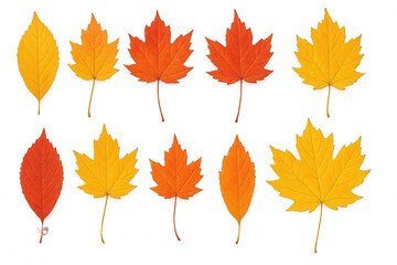 Ten colorful autumn leaves varying from yellow to orange and red, isolated on transparent background