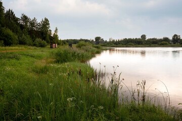 Lake shore in summer. Lush green trees and grass. Beauty of nature.
