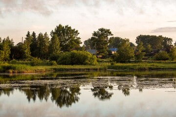 Beautiful lake in summer. Lush greenery, houses in the background, clouds, reflection.