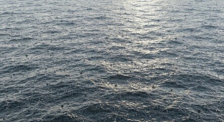 Fototapeta premium Calm Blue Ocean Water Ripples Under Rain Shower in Natural Light