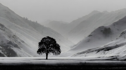 Minimalist grayscale landscape capturing a solitary tree silhouette framed against muted, misty hills