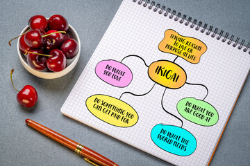 Ikigai, a holistic life philosophy that encourages individuals to find fulfillment and joy through a sense of purpose. Mind map infographics sketch.