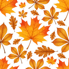 Watercolor autumn leaves pattern with maple, oak, and chestnut foliage in bright orange, yellow, and golden tones on a white background. Seamless fall design perfect for Thanksgiving decorations.