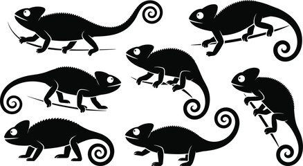 Chameleon Silhouettes Vector Collection, a Set of Detailed Lizards in Different Poses for Wildlife, Reptile, and Nature Graphics.