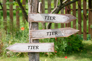 Strategy to control concept. Copy space. TIER word written on Wooden signs indicating the directions of movement
