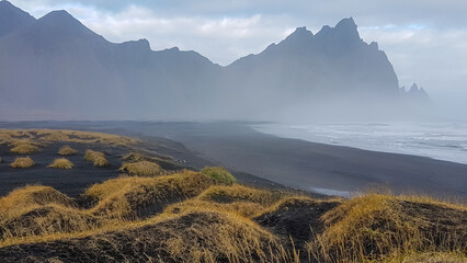 Golden autumn grass tops dramatic black sand dunes on Stokksnes peninsula, leading to the moody...