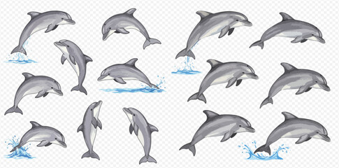 A collection of gray dolphins in various poses, some jumping out of the water with splashes.