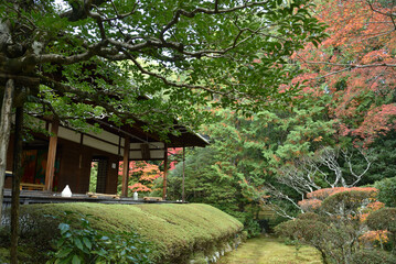 妙心寺塔頭　桂春院　秋の真如の庭(京都市右京区)